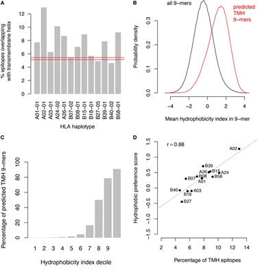 Transmembrane Helices Are an Overlooked Source of Major Histocompatibility Complex Class I Epitopes